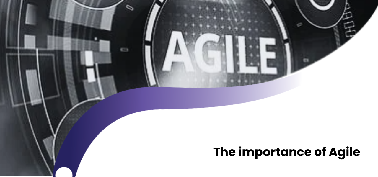 The importance of Agile