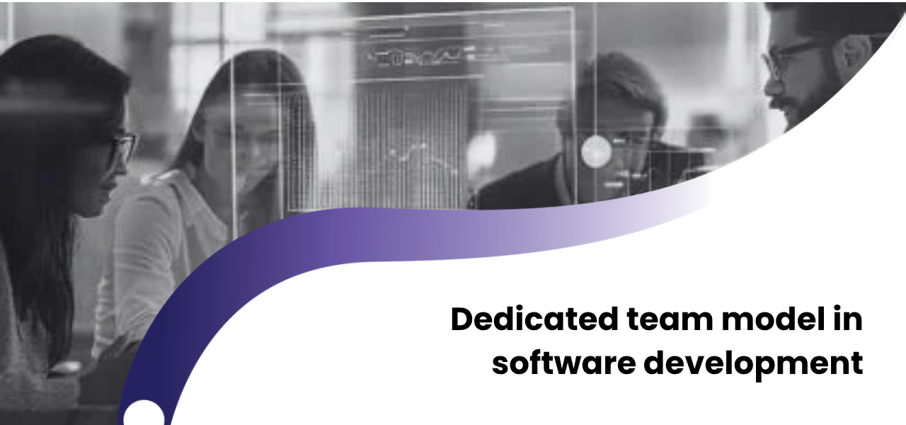 Dedicated Team model in software development: stable team for long-term success