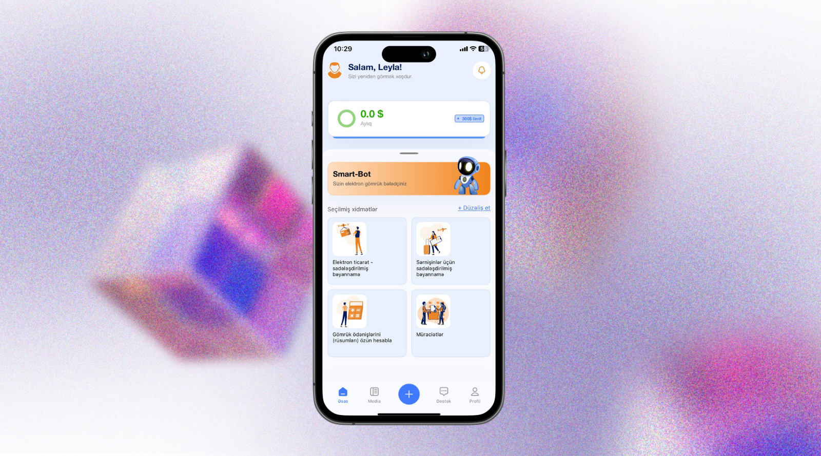 Smart Customs mobile app interface